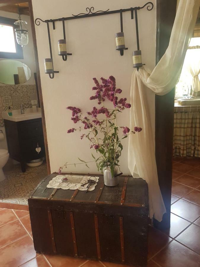 Casa Fuente Hervera Vega de San Mateo Zewnętrze zdjęcie